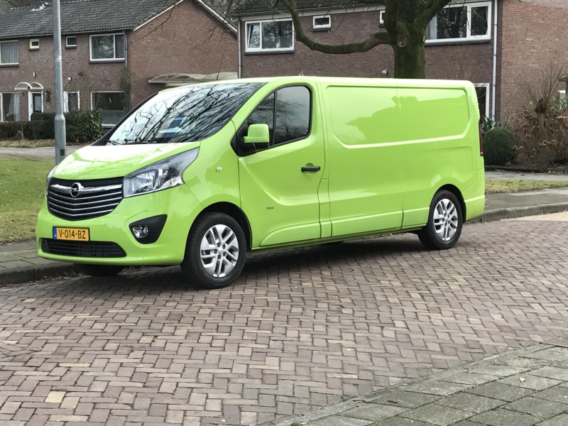 Mooie Groene Vivaro